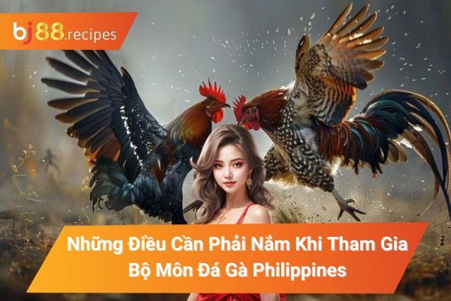 Đá Gà Philippines BJ88 Những Điều Cần Phải Nắm Khi Tham Gia Đá Gà Philippines