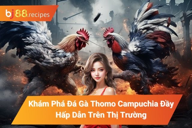 Khám Phá Đá Gà Thomo Campuchia Đầy Hấp Dẫn Trên Thị Trường Đá Gà Thomo Campuchia